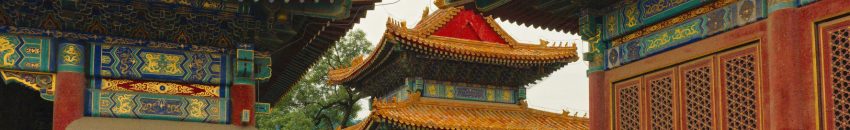 Salon international de la médecine chinoise